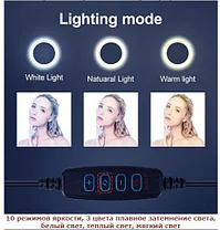 LED прожектор кольцо , для съемки с телефона CX-B260, фото 3
