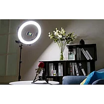Кольцевая LED лампа /40 см /для съёмки с телефона модель  DEX M33 со стойкой в 190 см, фото 3