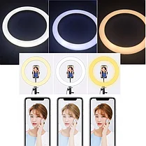 Кольцевая LED лампа /40 см /для съёмки с телефона модель  DEX M33, фото 2