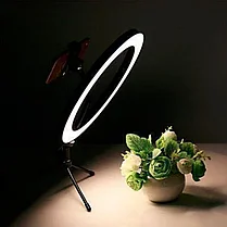 Кольцевая LED лампа /40 см /для съёмки с телефона модель  DEX M33, фото 3