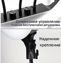 Кольцевая лампа / Световое кольцо / Кольцевая лампа RL21 55 см, 65 Вт б Подарок штатив 210см, фото 2
